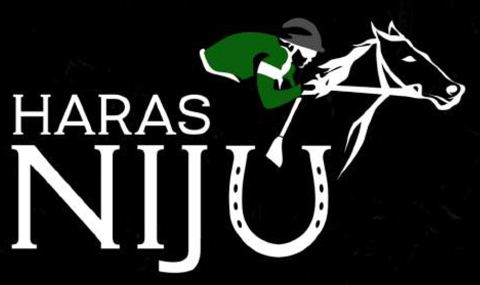 Logo Haras Niju