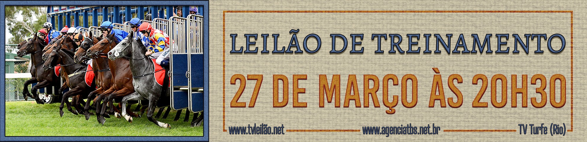 Slide LEILÃO DE TREINAMENTO