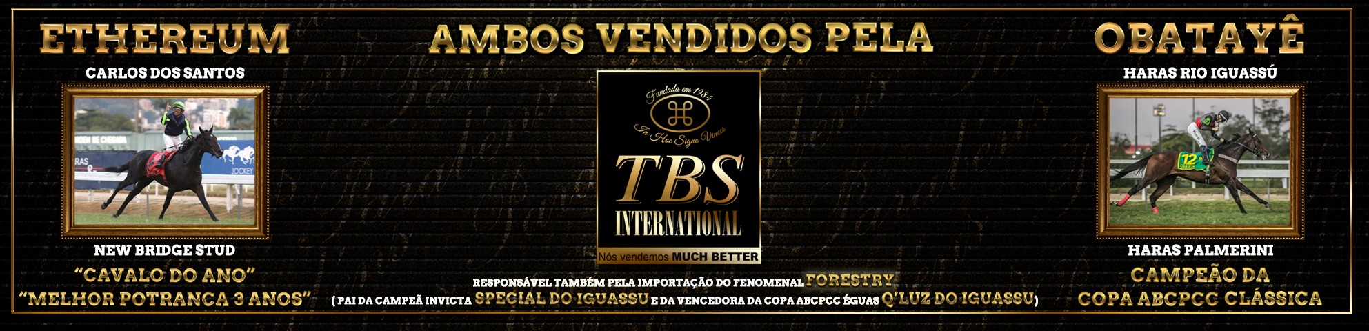 Slide MELHORES DO BRASIL