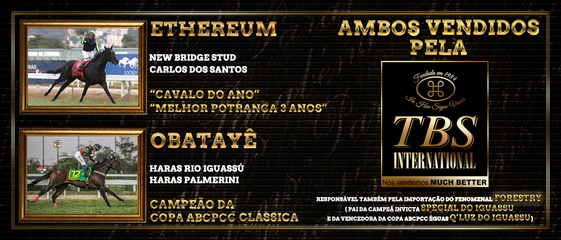 Slide MELHORES DO BRASIL