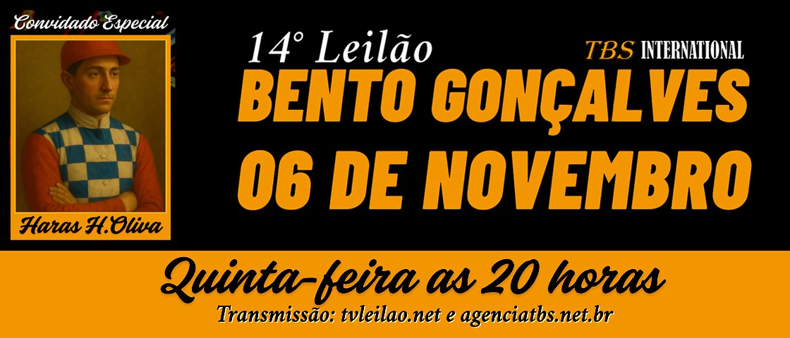 Slide 14 LEILÃO BENTO GONÇALVES