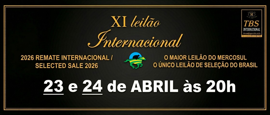 Slide XI LEILÃO INTERNACIONAL