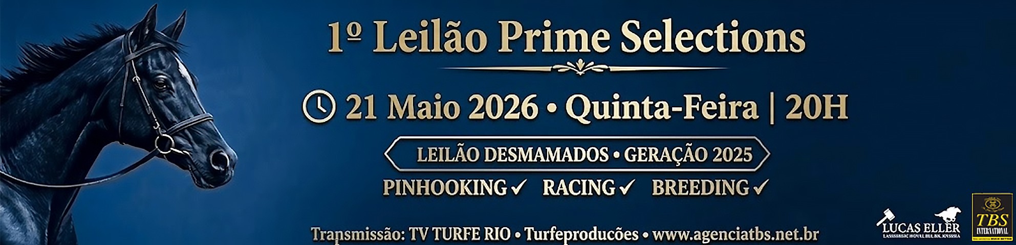 Slide 1º LEILÃO PRIME SELECTIONS
