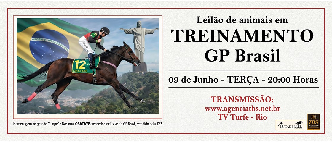 Slide LEILAO DE ANIMAIS EM TREINAMENTO GP BRASIL
